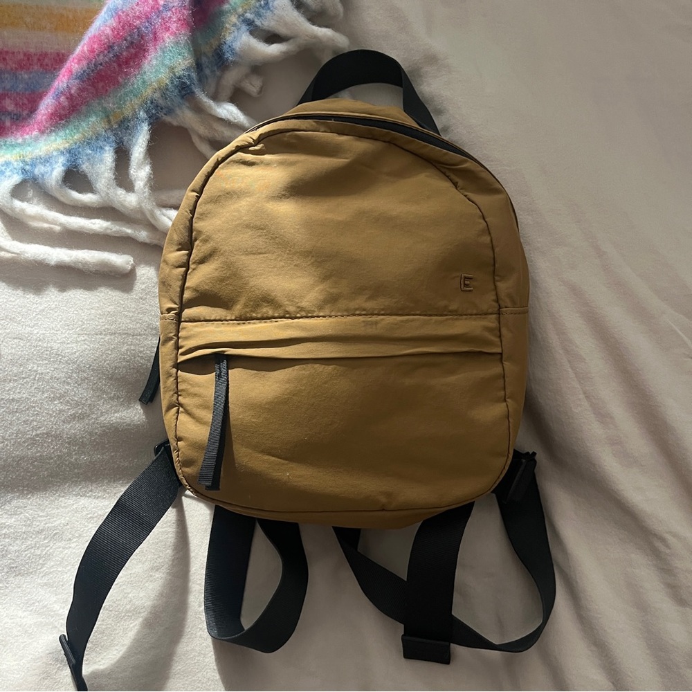 Everlane “The Mini” Backpack